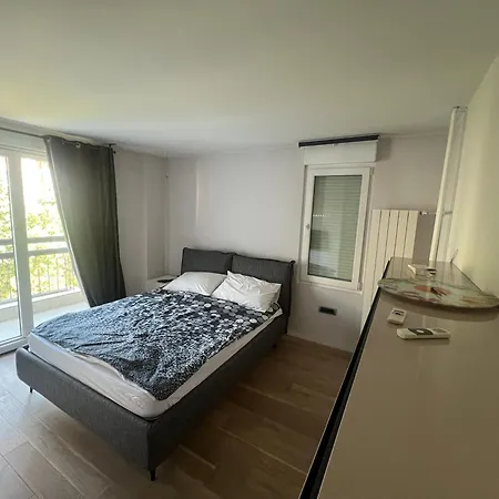 Stylish Spacious Flat In Quiet Locale * Novi Sad